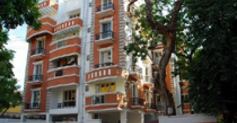 Real Orchard, Chennai - Real Orchard