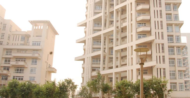 Silverglades The Ivy, Gurgaon - Silverglades The Ivy