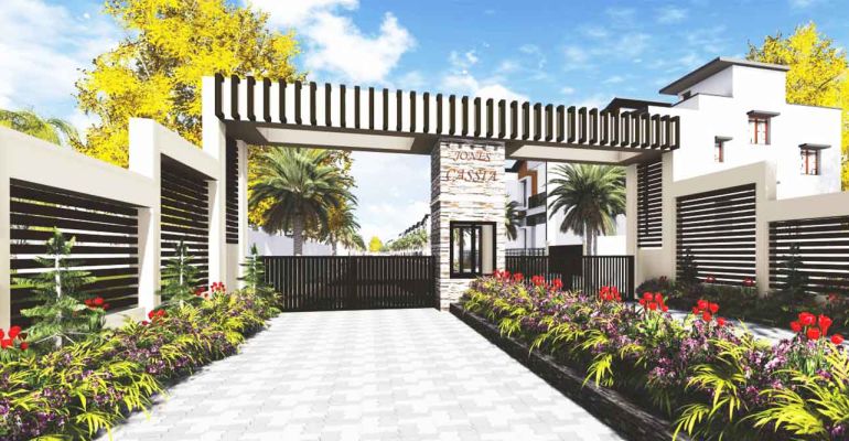 Jones Cassia, Chennai - Jones Cassia
