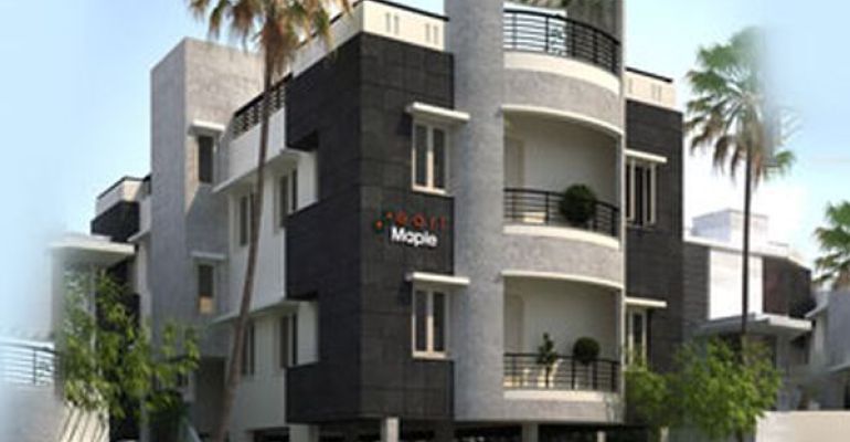 Pearl Maple, Chennai - Pearl Maple