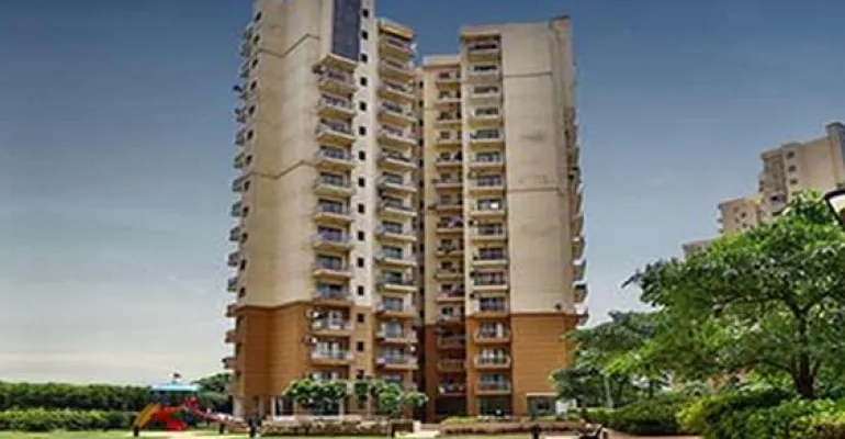 SS Delight and Splendours, Gurgaon - SS Delight and Splendours