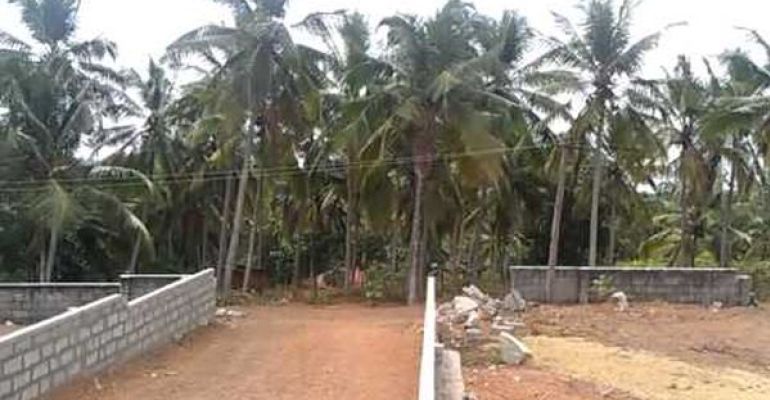 Vintage Silent Valley, Thiruvananthapuram - Vintage Silent Valley