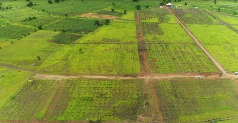 Valluru-Narayankhed, Sangareddy - Farm Land