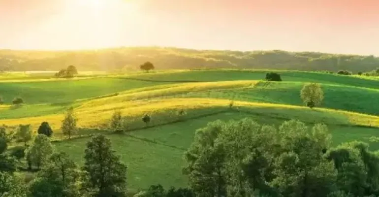 Century Seasons, Bangalore - Residential Plot & Villa