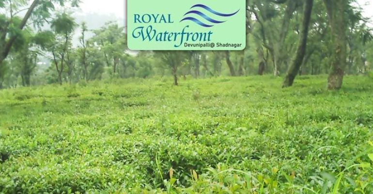 Royal Waterfront, Hyderabad - Residential Plots