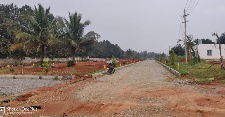 Nandanvan, Bangalore - Nandanvan