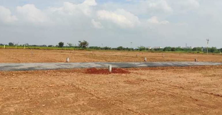 Sadha Garden, Tiruchirappalli - Sadha Garden