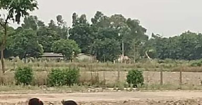 Divya City, Lucknow - Divya City