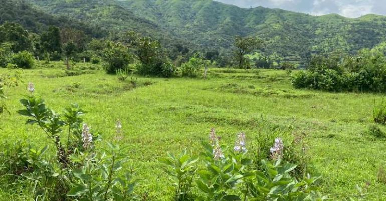 Paal Hills, Pune - Paal Hills