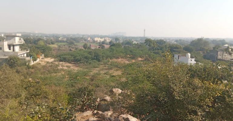 MS Group Dream City, Faridabad - Residential Plots