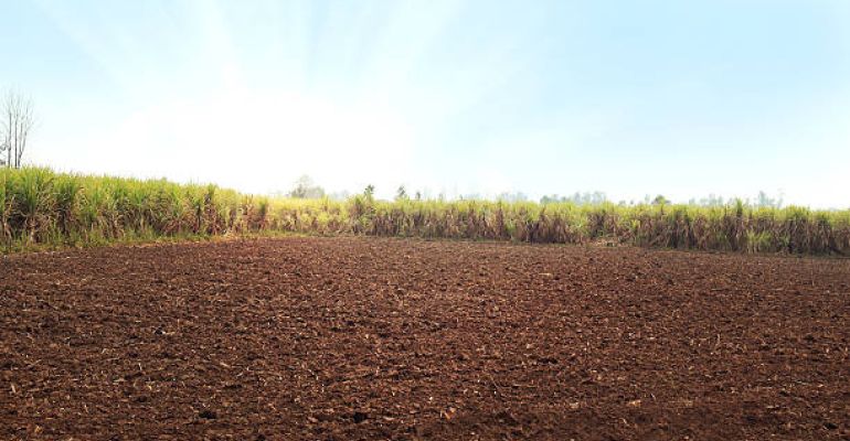 Buddha Hills, Hyderabad - Residential Plots