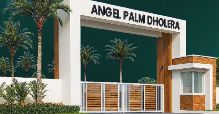 PALM DHOLERA, Ahmedabad - Residential Plot