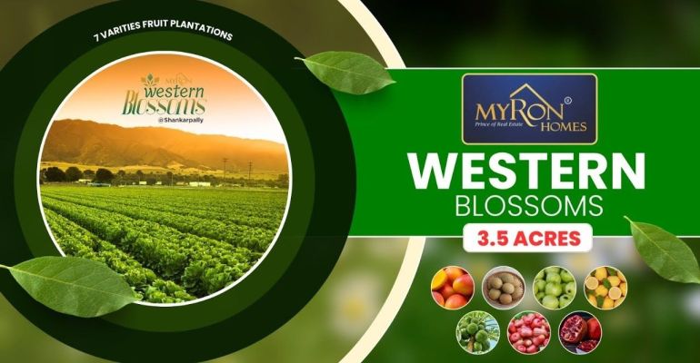 Western Blossoms, Rangareddy - Commercial Plots