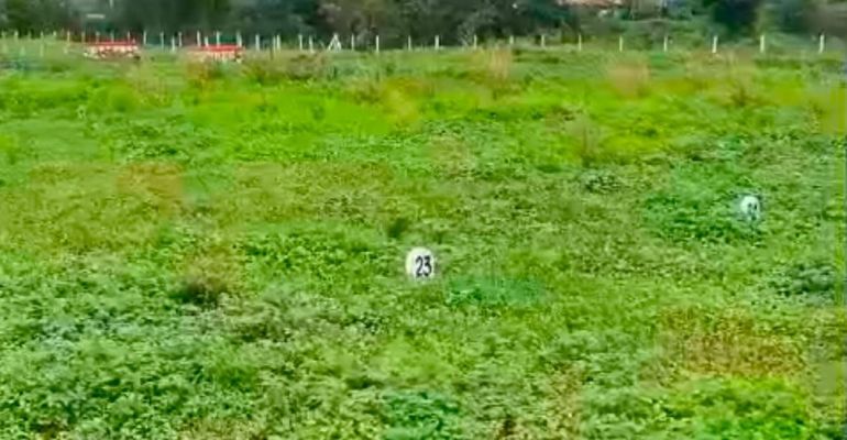 Shiv Shrushati, Nashik - Residential Plots