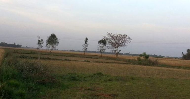 Subhaalaya, Gorakhpur - Residential Lands
