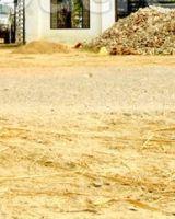 JMD green Phase 2