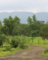 Sairung Serenity