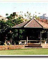Saumya Amaltas
