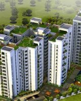NCC Urban Gardenia