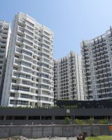 Lohia Vallonia