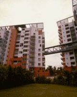Bearys Harmony Homes