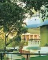 Bearys Orchard Green