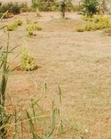 Upkar Kamakshi Layout
