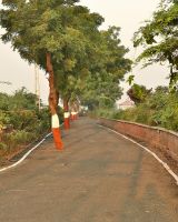 Maruti Celosia Greenscapes 2