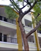 Renaissance Mangalam