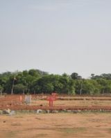 ABI Best Park
