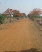 ABI Kambar Avenue