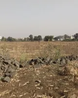 Pushkar Pearl