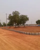 Pushkar Gold Pipla