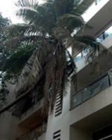 Rustomjee La Roche