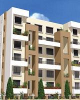 Amit Emerald Park
