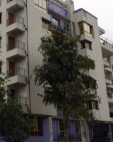 Belani Belmont Apartments