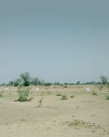 Avani Ford City