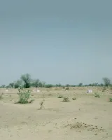 Sanjeevni Estate