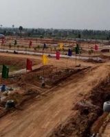 Modi Golden Meadows