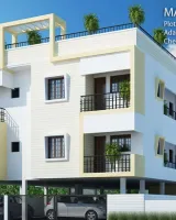Malar Shamrock