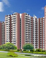Aims AMG Resi Complex 3