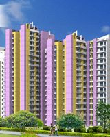 Aims AMG Resi Complex 2