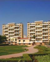 Amar Ambience