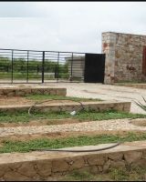 Aavkar River Retreat