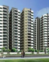 Bhavya Tulasi Vanam
