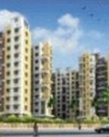 Prakash Homes