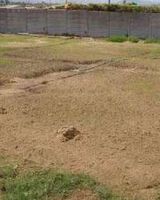 Gita AA Royal Nagar Phase II