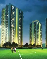 Conscient Heritage One