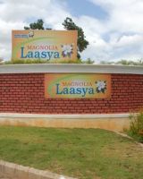 Magnolia Lasya