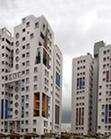 Bengal DCL Shree